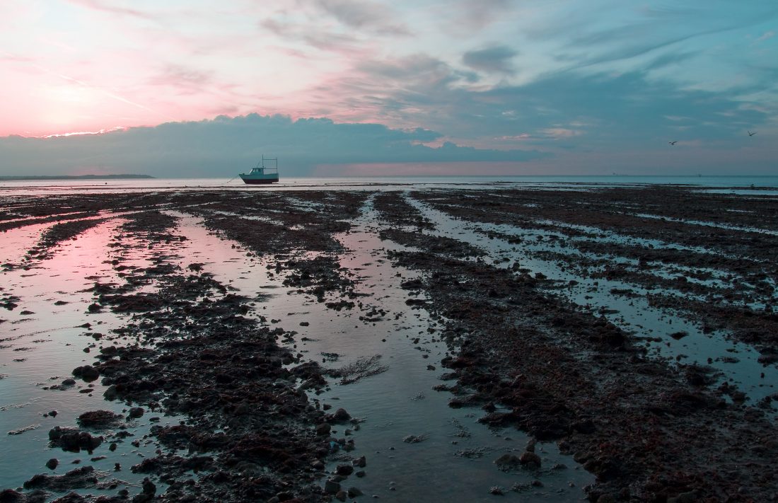 Low Tide