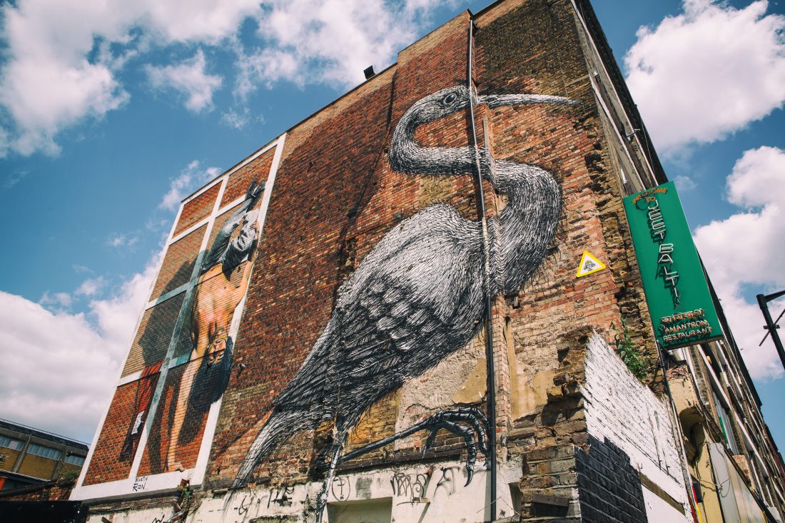 East London Bird