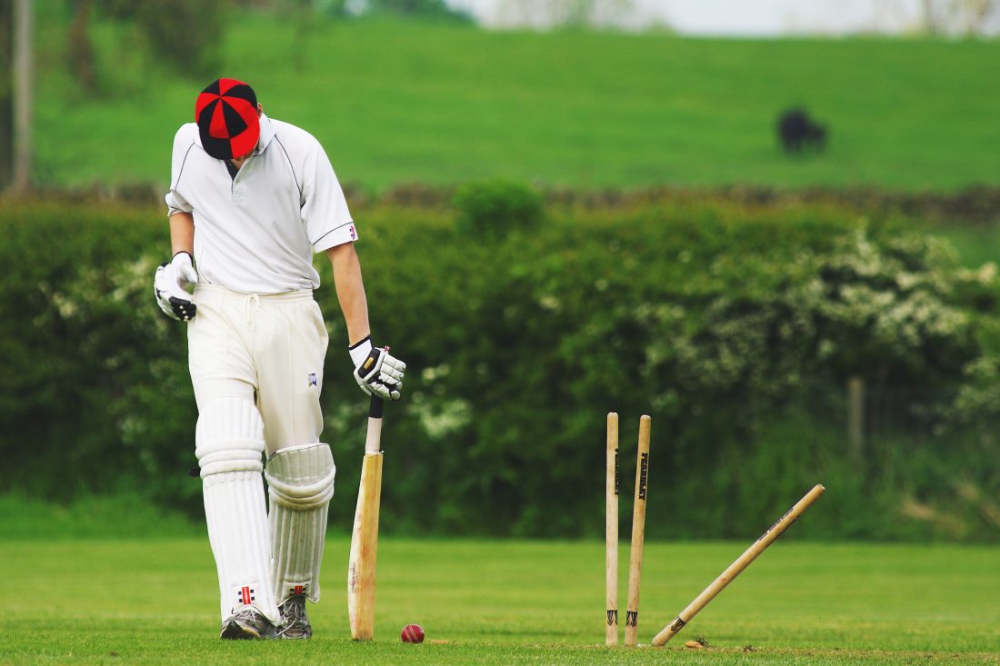 Cricket Stumps