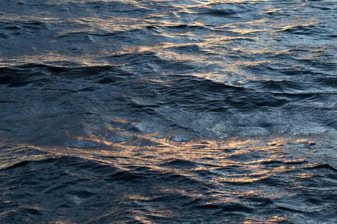 Dark Water Waves