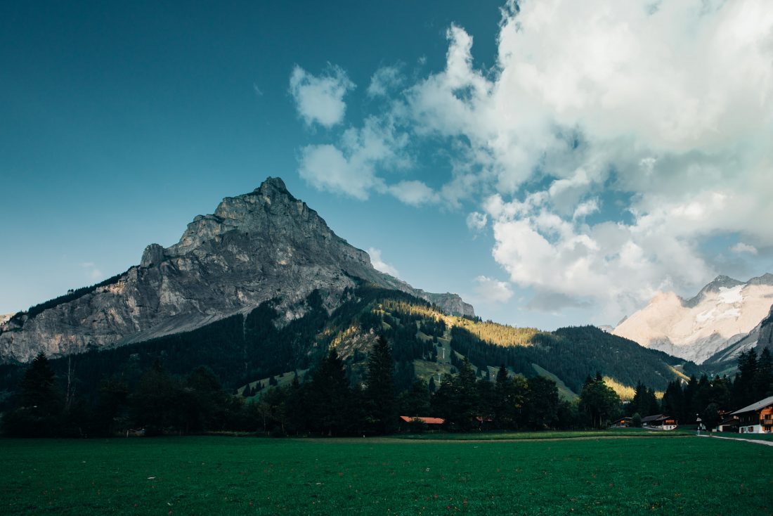 Mountain Peak & Green Grass