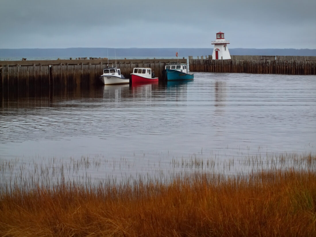 Boats Harbor Ocean