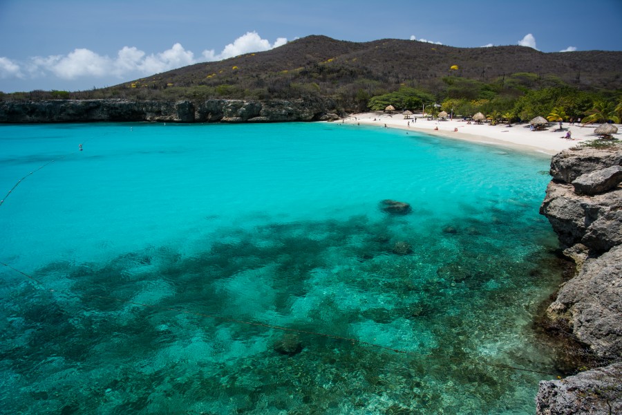 Paradise