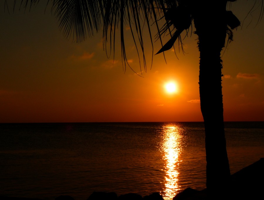 Orange sunset