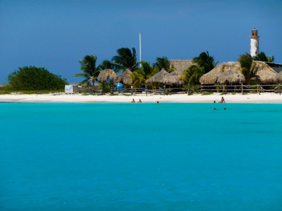 Ticket to the tropics