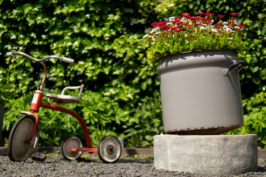 Happy garden
