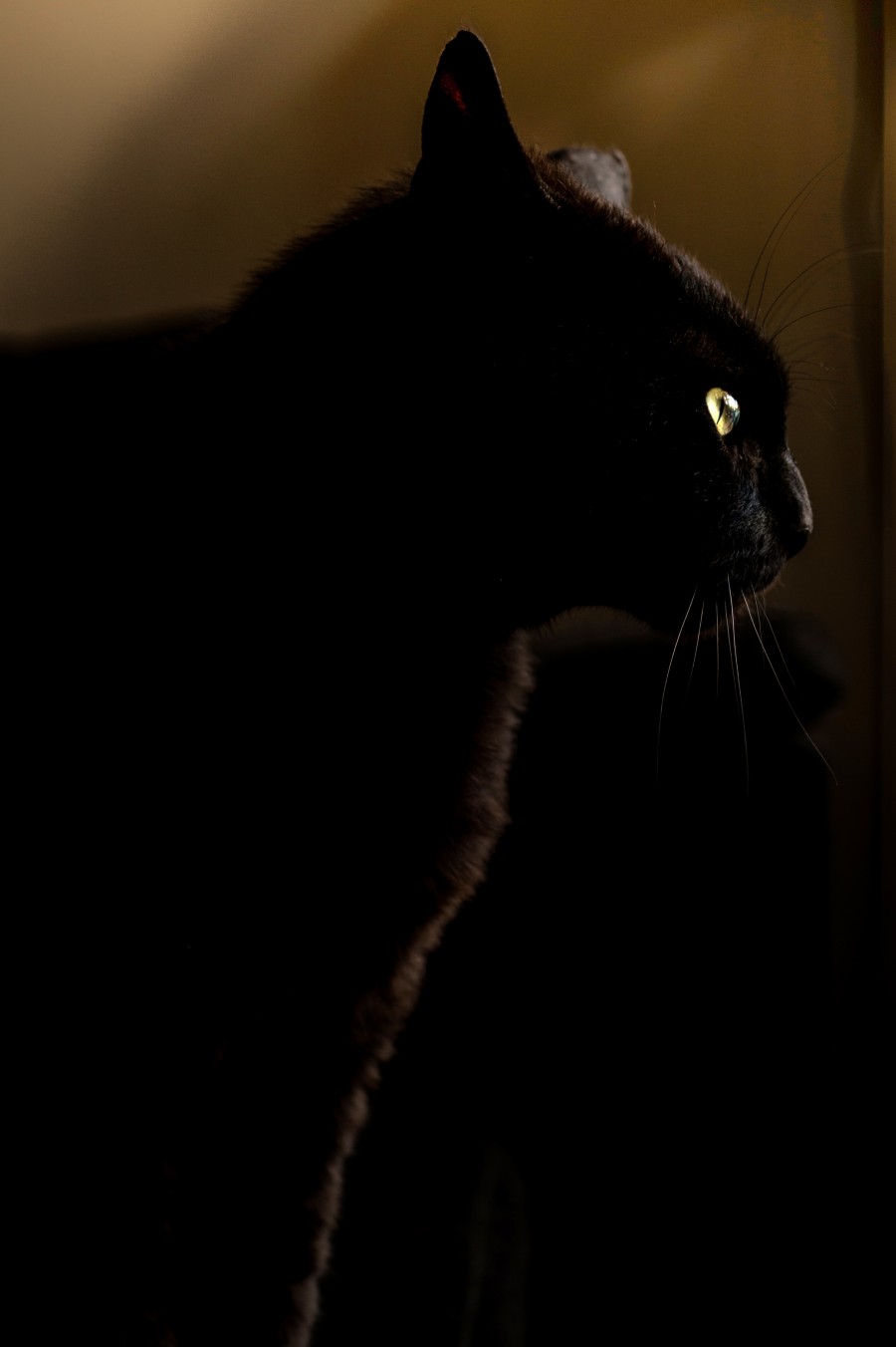 Hunter