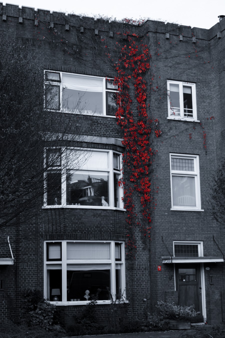 Red only