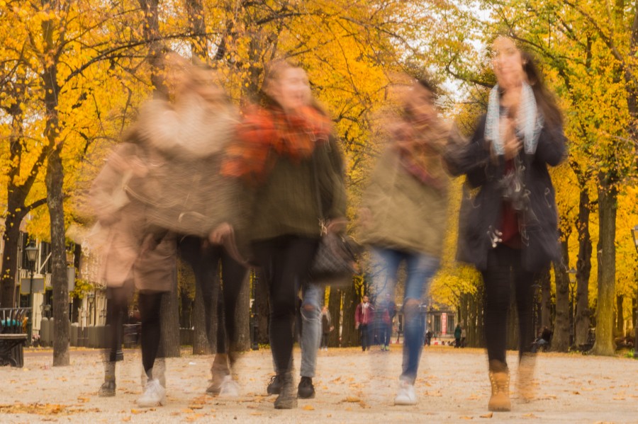 Women in the park