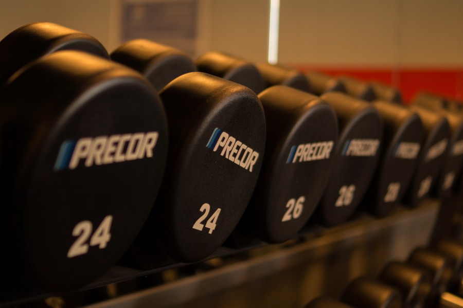 24 kg dumbells