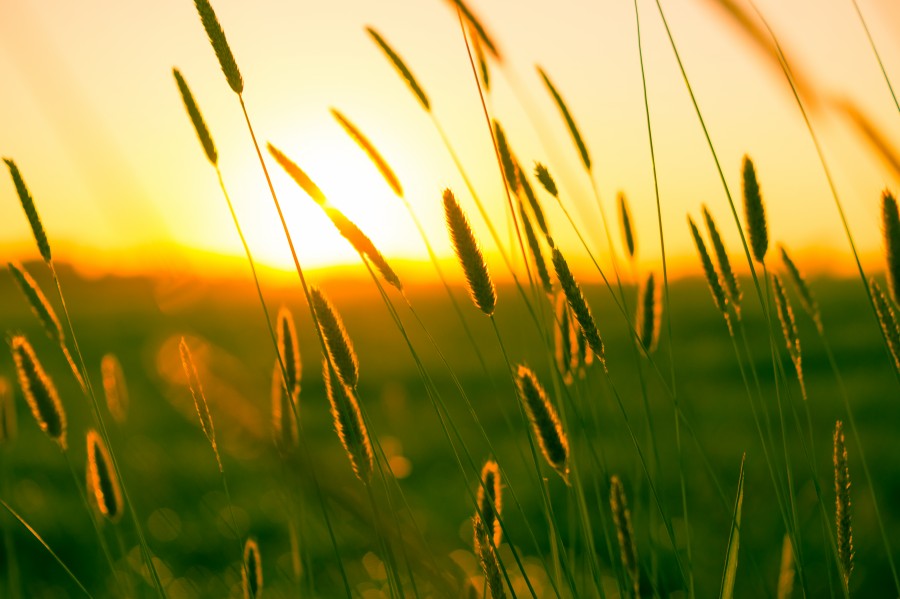 That sweet summer feeling