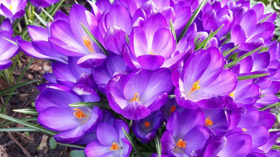 Spring is in the air