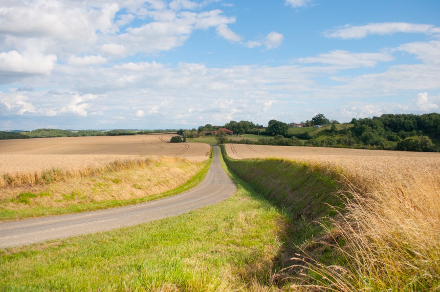 Rural road in France