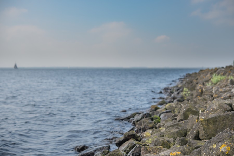 Dutch sea