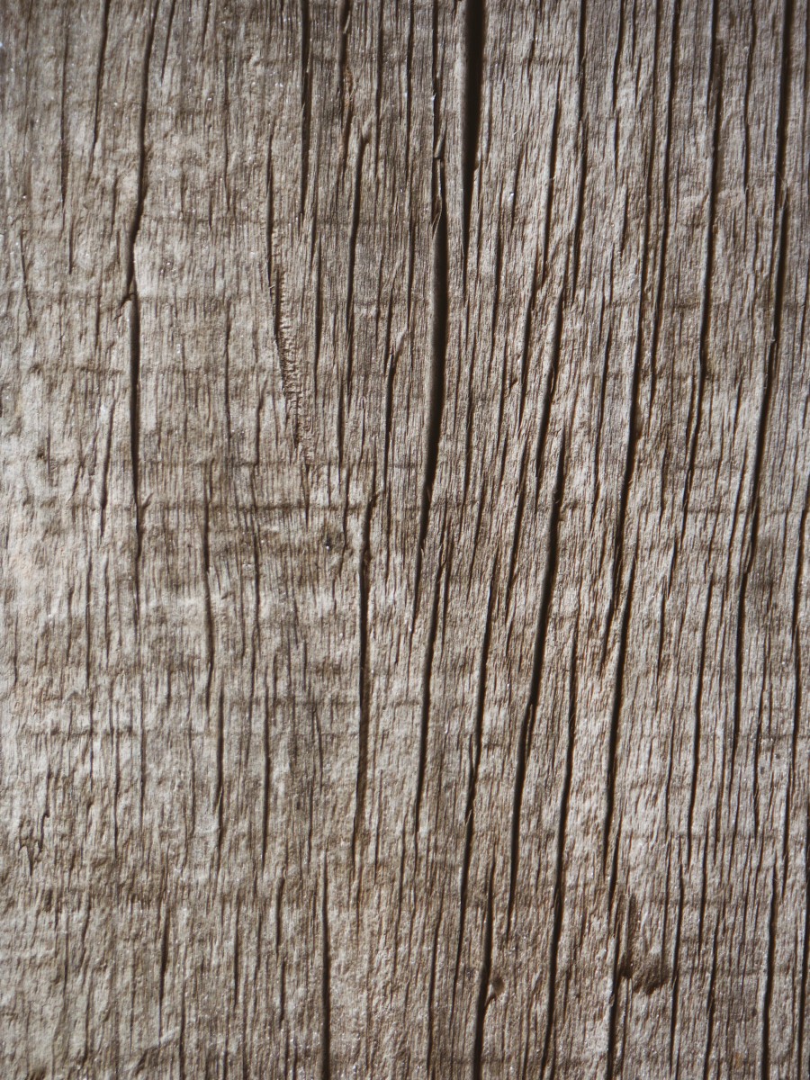 Old wood texture
