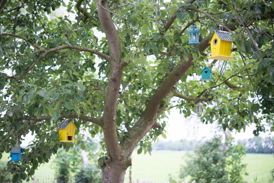 Bird houses