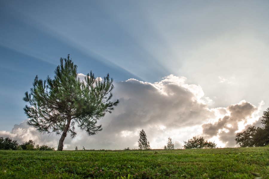 Clouds and sunrays