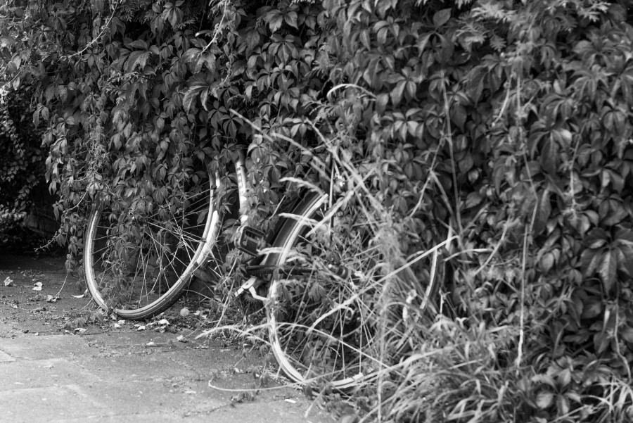 Lost bike