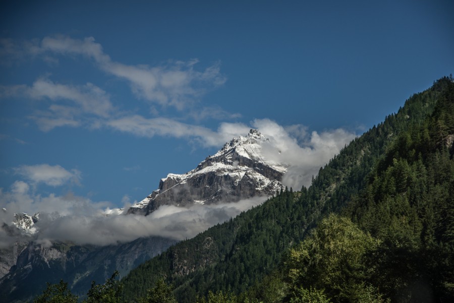 The Alps