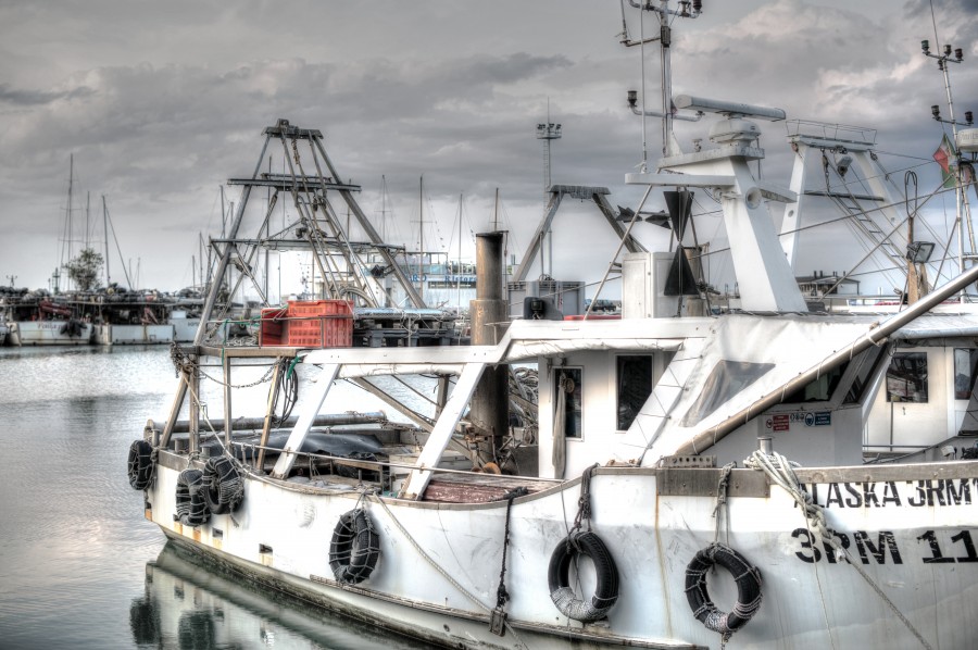 Cattolica harbor