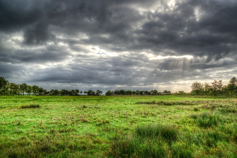 Scenic landscape