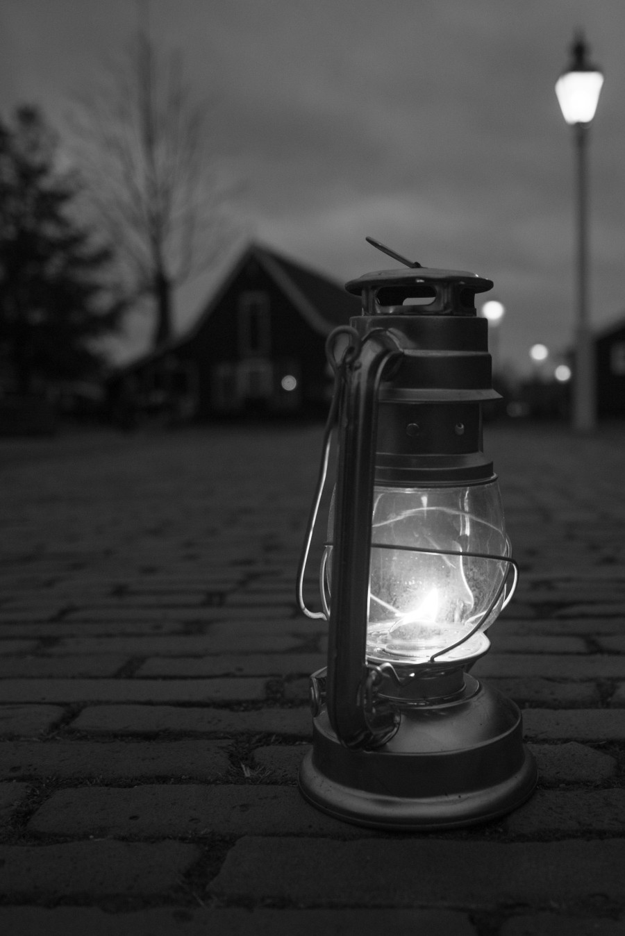 Light in the dark
