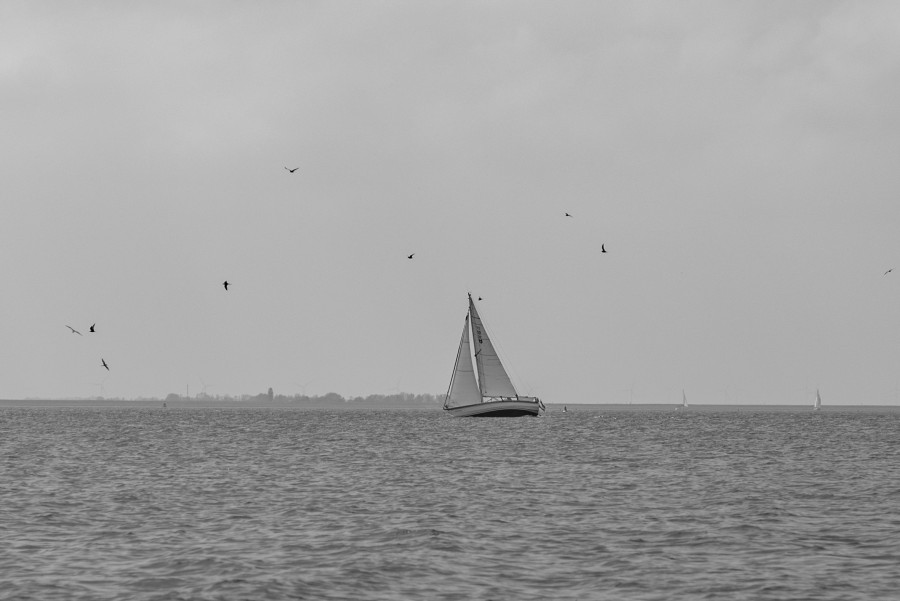 Sail boat