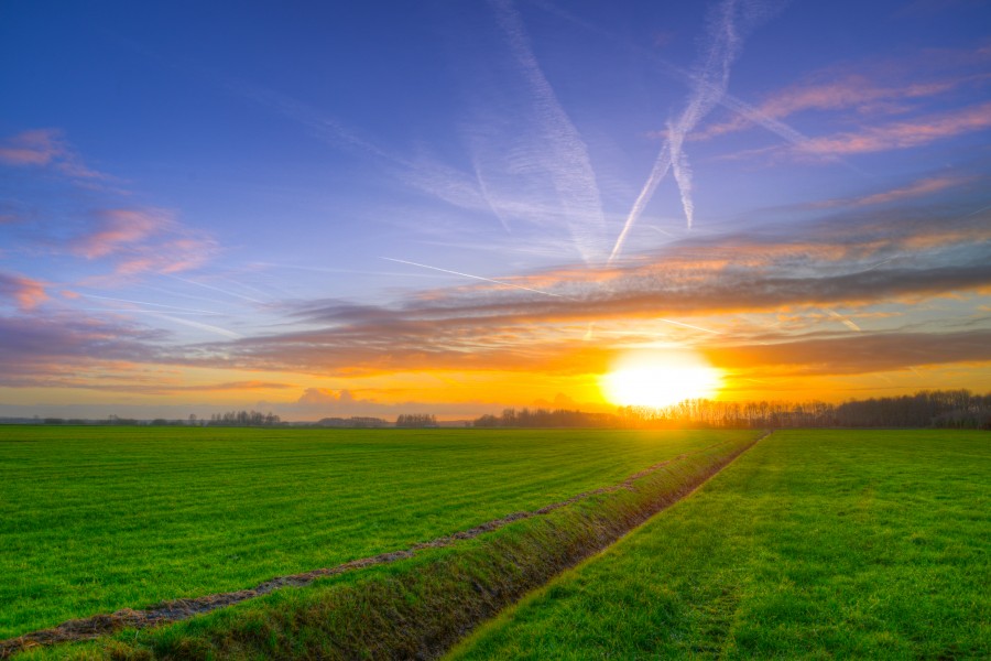 Meadows and sunset