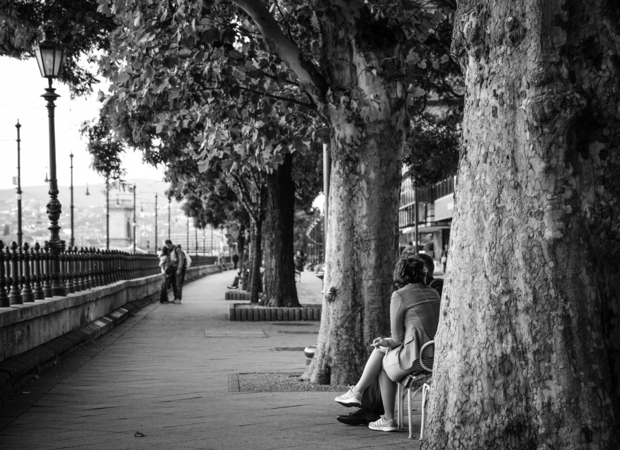Budapest boulevard