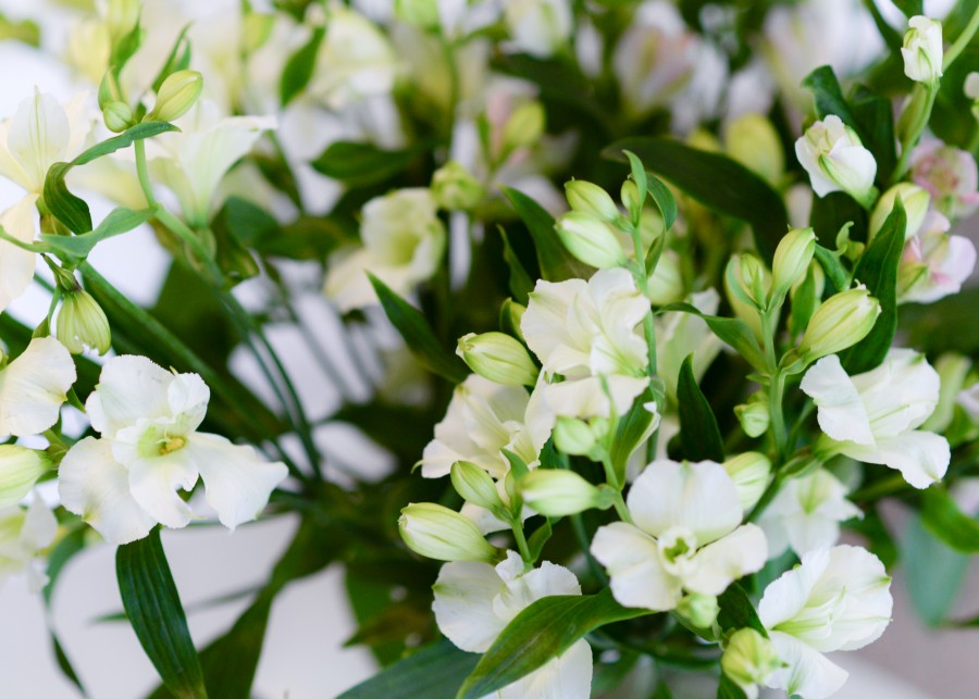 White bouquet