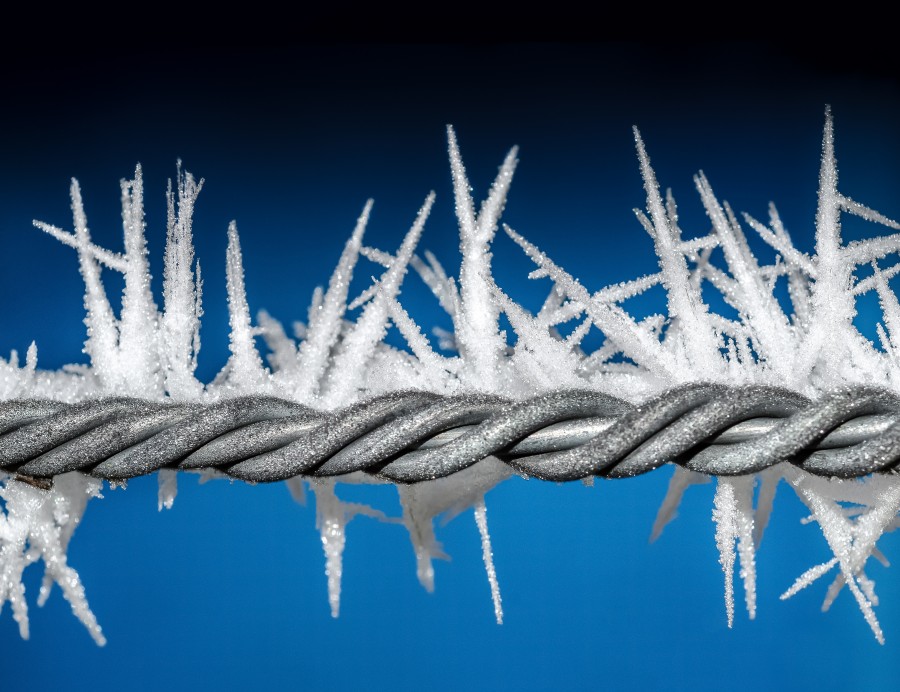 Blue icicle