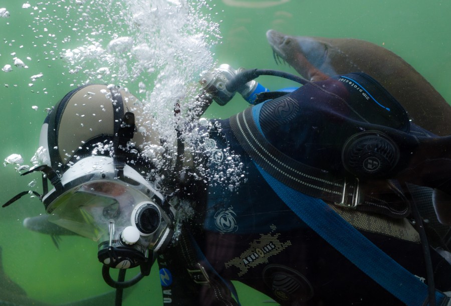 Tank cleaner