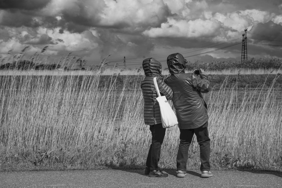 Tourists in the wind
