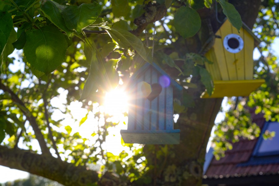 Romantic bird houses