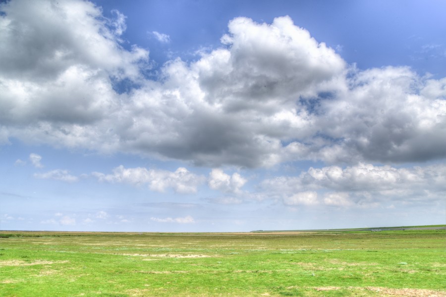 Empty Dutch field