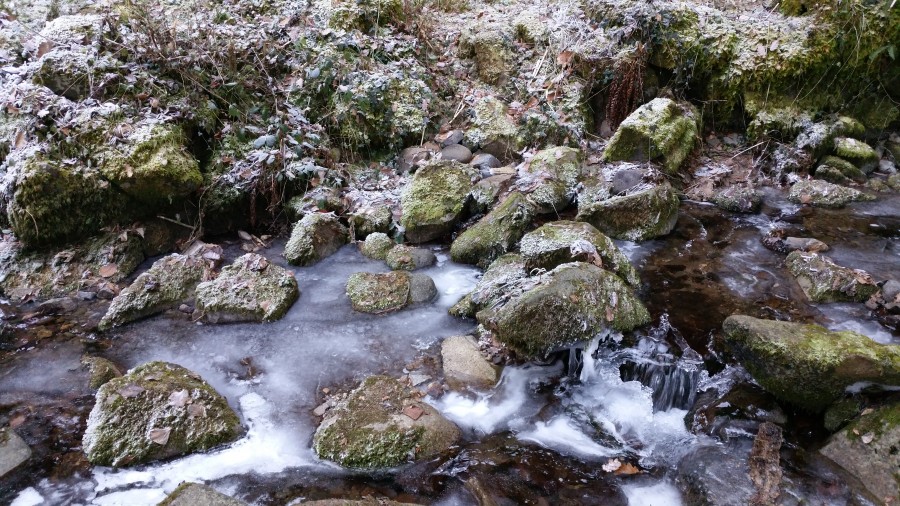 Rivière gelée