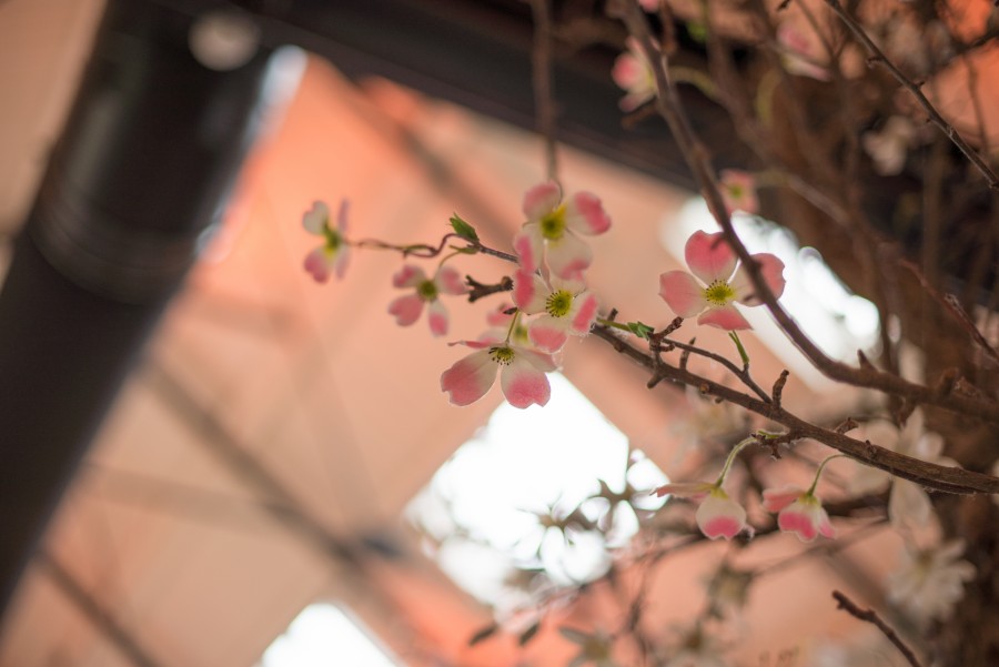 Little flowers