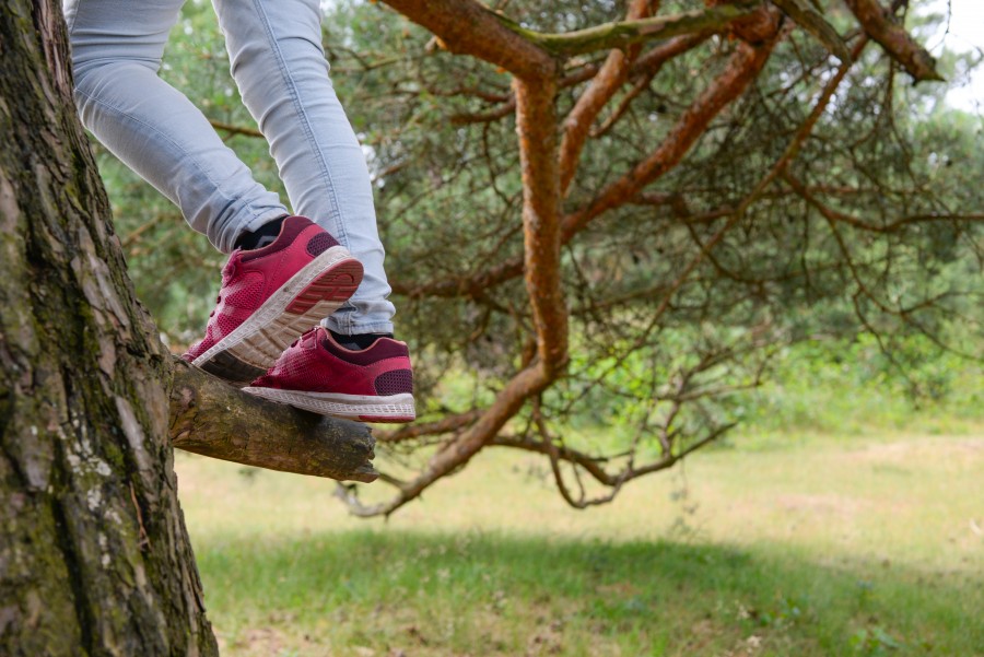 Climbing a tree