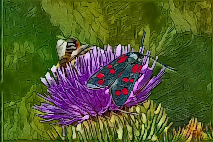 Painted insects