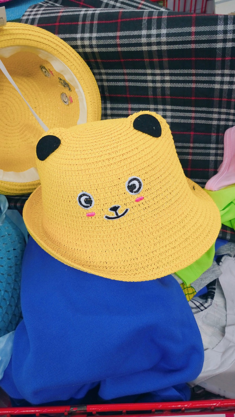 Yellow kitten