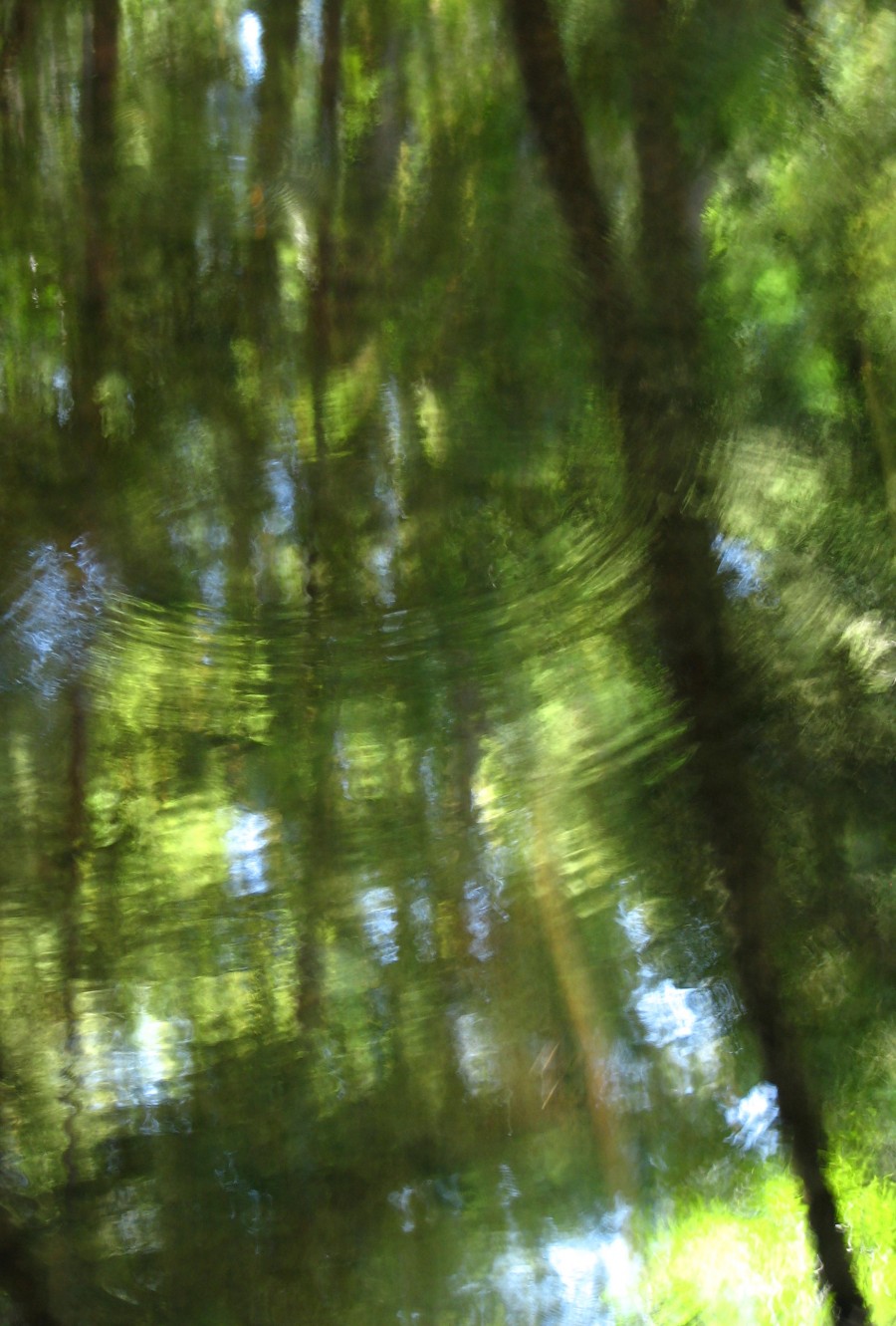 pond ripples