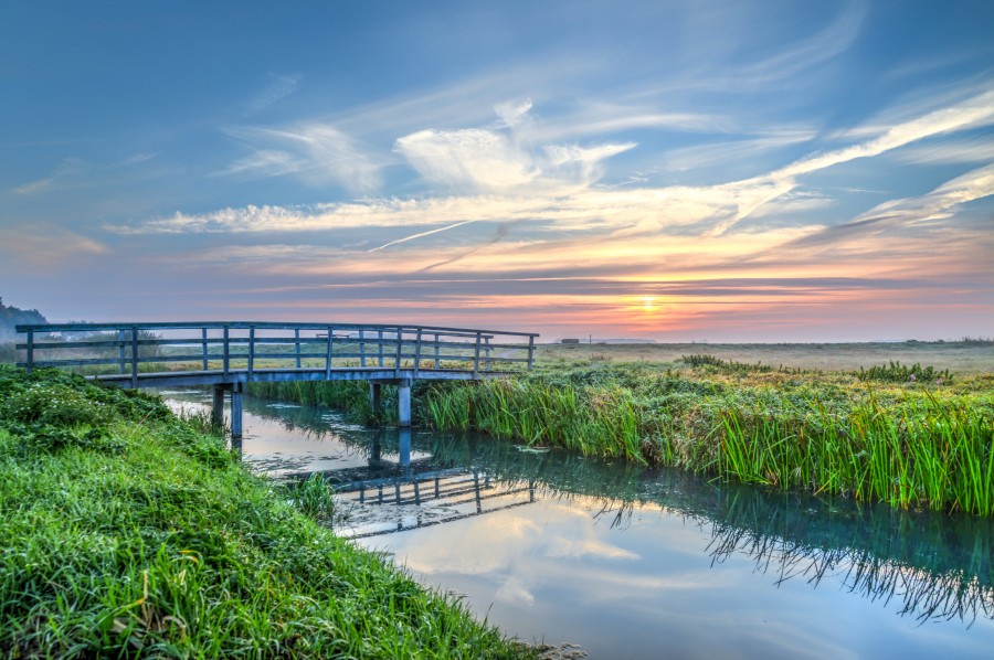 Bridge in the morning