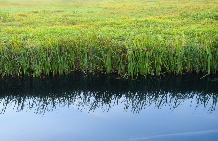 Ditch reflection