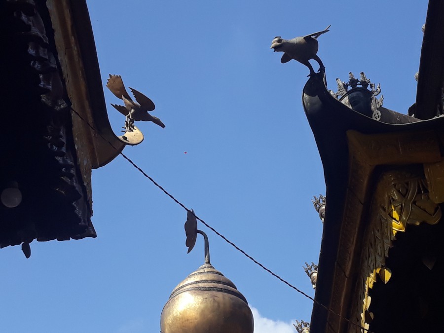 Bird in Historical place