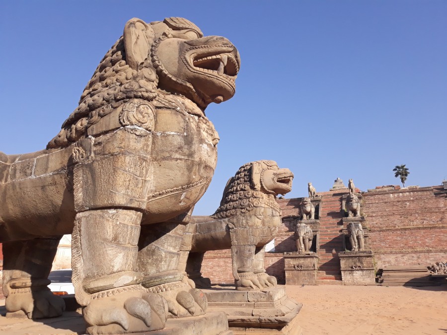 Pair of Lion