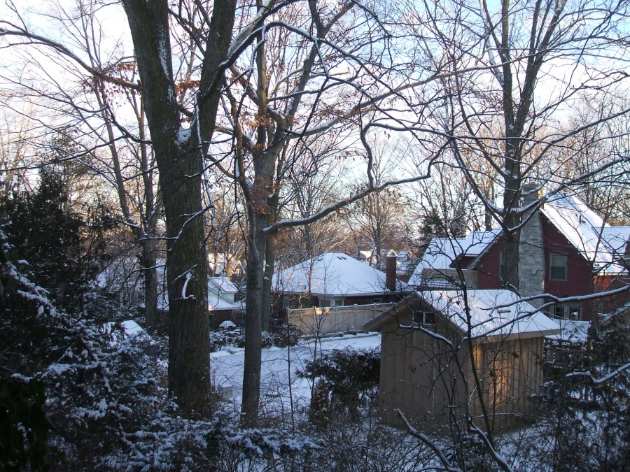Winter 