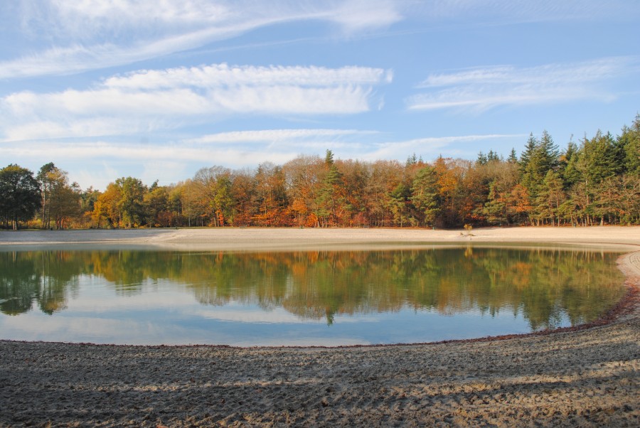 Lake in autumn