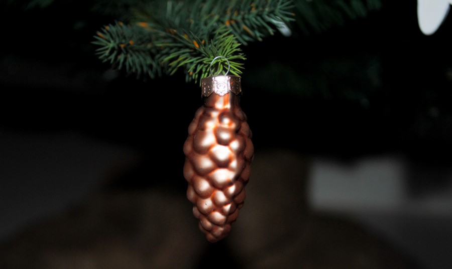 Xmas pine cone