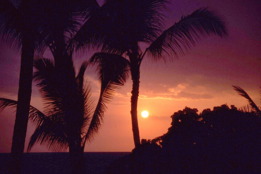 Hawaiian sunset