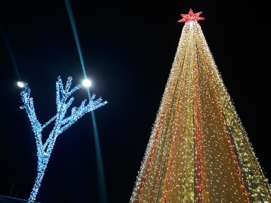 Christmas celebration